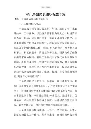 审计局副局长述职报告3篇