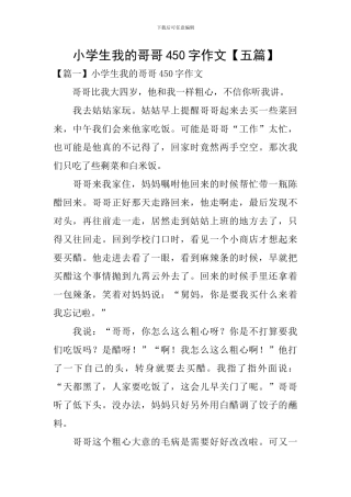 小学生我的哥哥450字作文