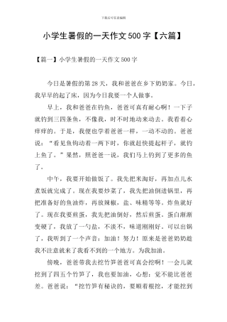 小学生暑假的一天作文500字