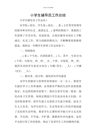 小学生辅导员工作总结