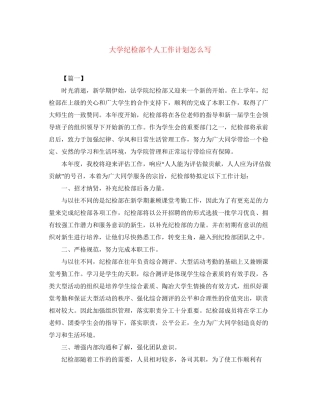 大学纪检部个人工作计划怎么写