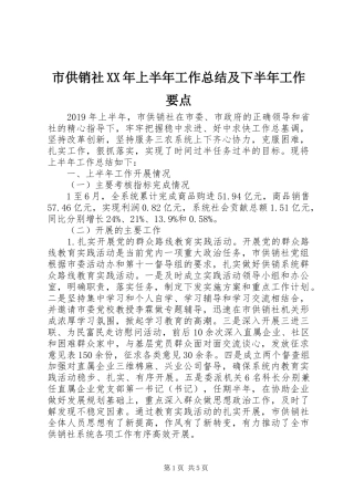 市供销社XX年上半年工作总结及下半年工作要点 