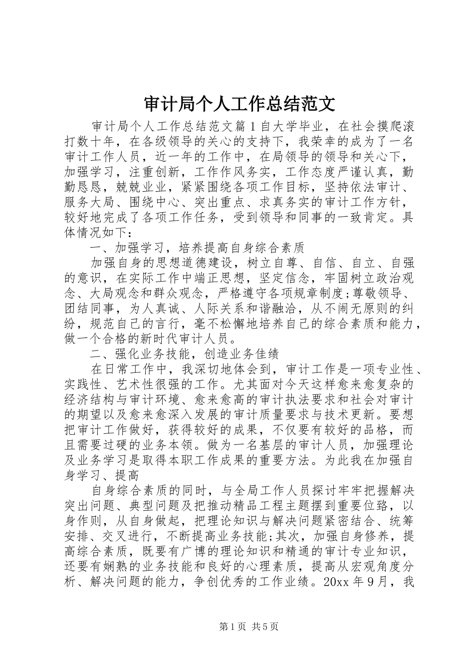 审计局个人工作总结范文 _第1页
