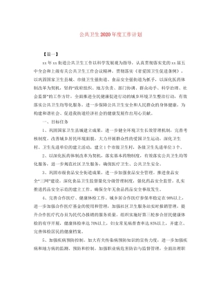 公共卫生年度工作计划
