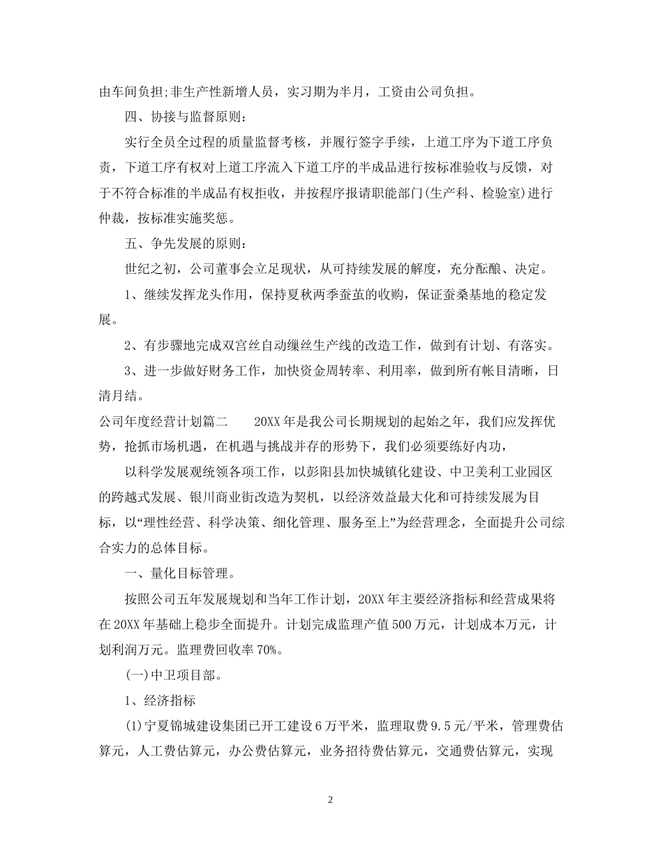 公司年度经营计划模板_第2页