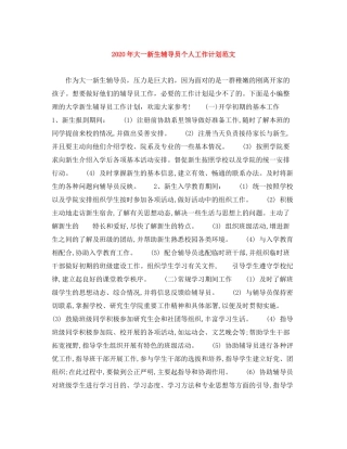 2020年大一新生辅导员个人工作计划范文