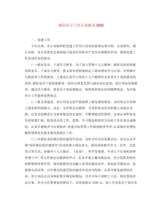 酒店审计工作计划格式