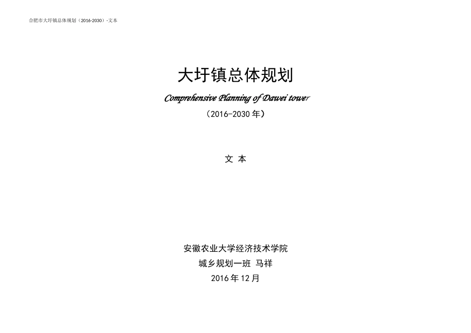 大圩镇总体规划-文本_第1页