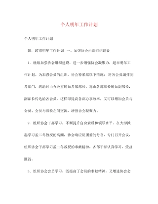 个人明年工作计划