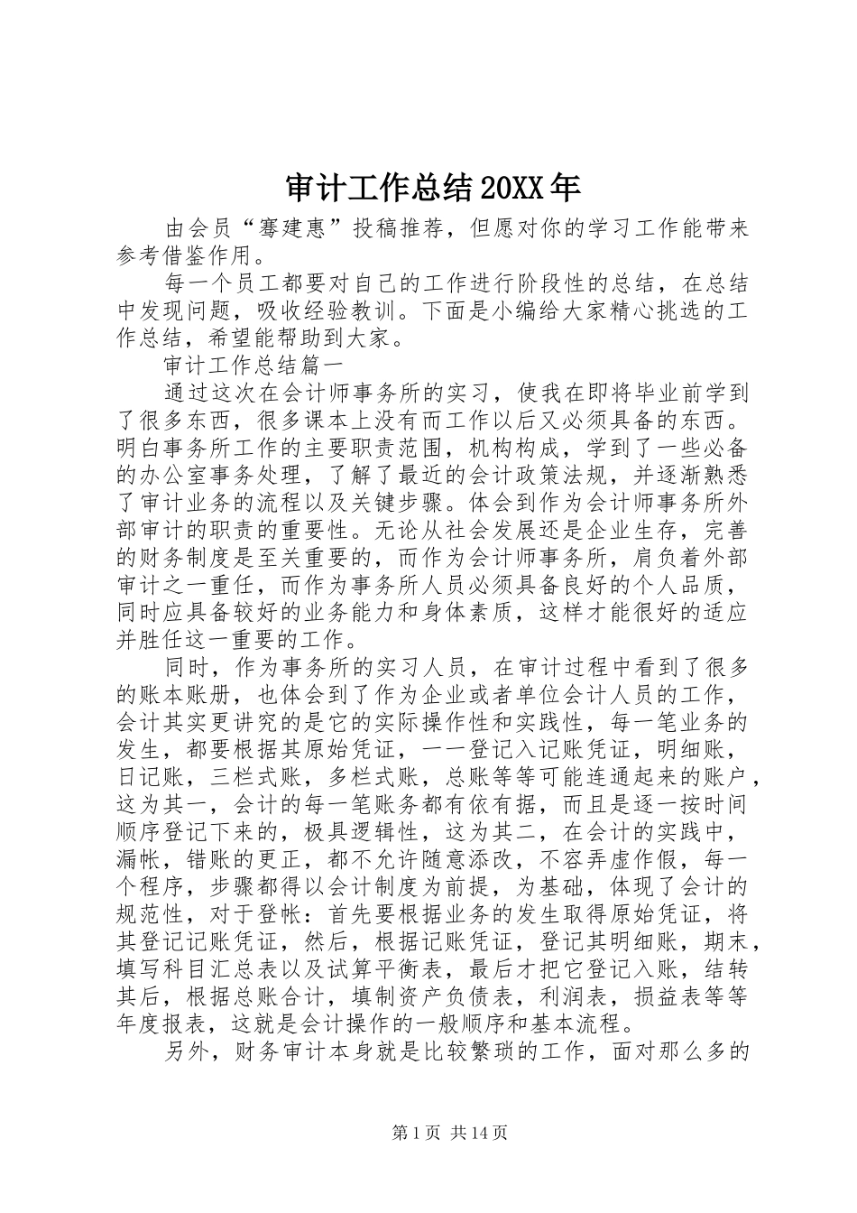审计工作总结20XX年_第1页