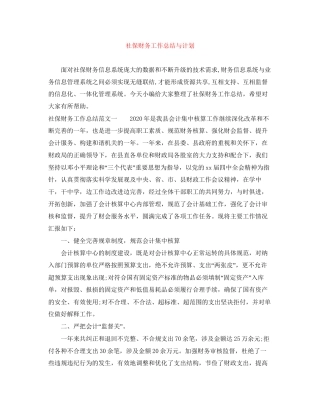 社保财务工作总结与计划