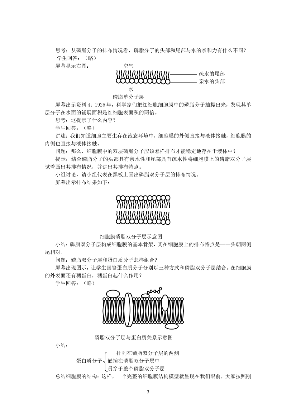 第三章-第二节细胞膜和细胞壁教学设计-苏教版_第3页