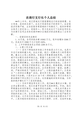 农商行支行长个人总结 