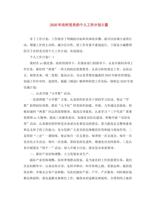 2020年农村党员的个人工作计划5篇