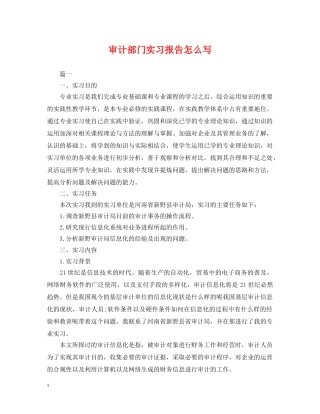 审计部门实习报告怎么写 