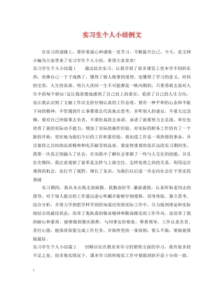 实习生个人小结例文 