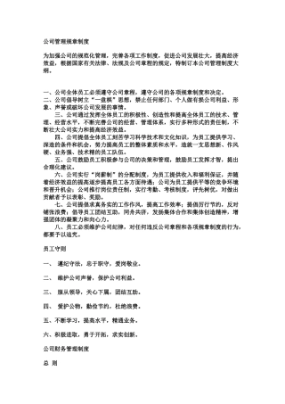 公司管理规章制度范文