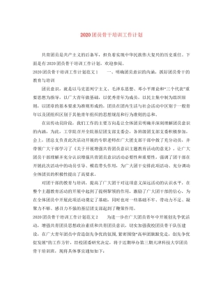 团员骨干培训工作计划