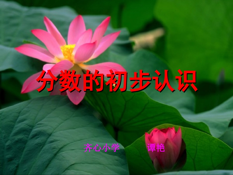 三年级分数的初步认识课件_第1页