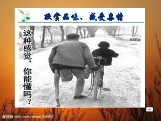 捕捉细节，体验真情