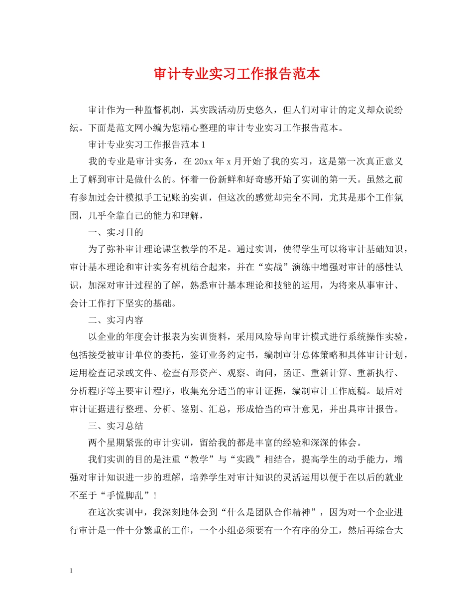 审计专业实习工作报告范本 _第1页