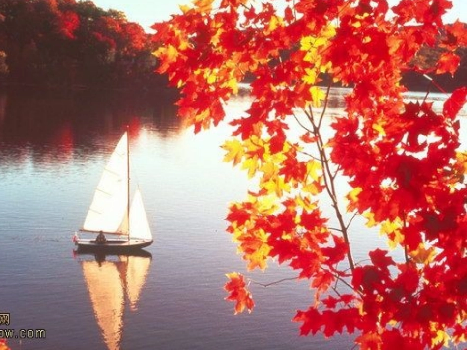 秋天在哪里幻灯片_第2页