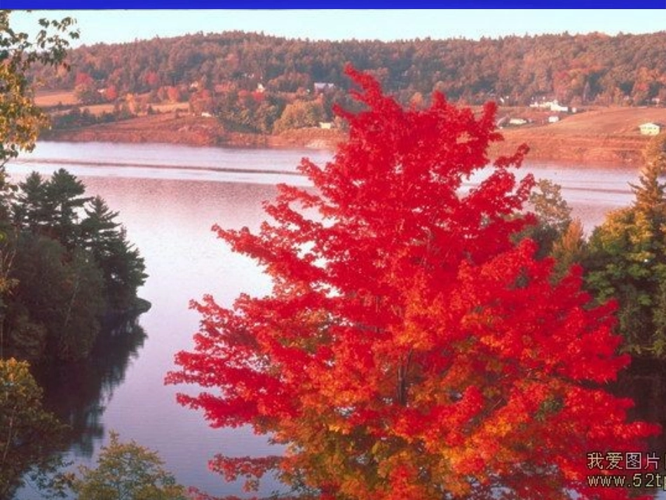 秋天在哪里幻灯片_第3页