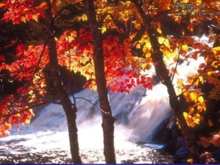 秋天在哪里幻灯片