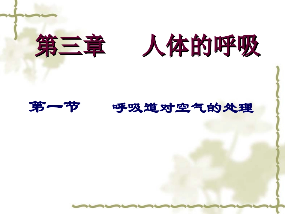 呼吸道对空气的处理(好)_第1页