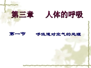 呼吸道对空气的处理(好)