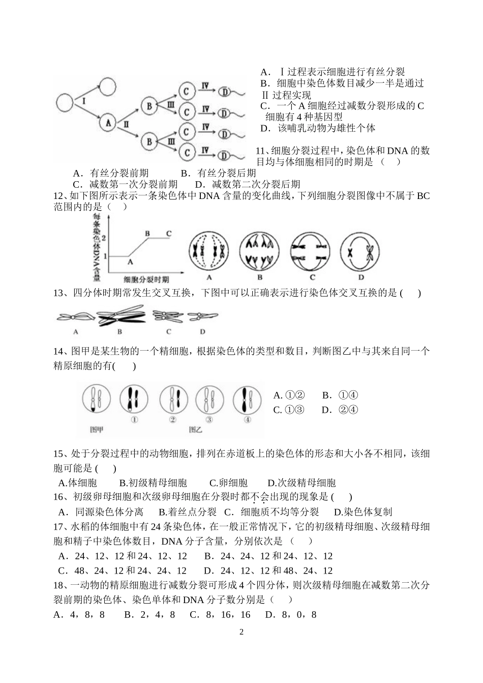 周测：减数分裂能力提升_第2页