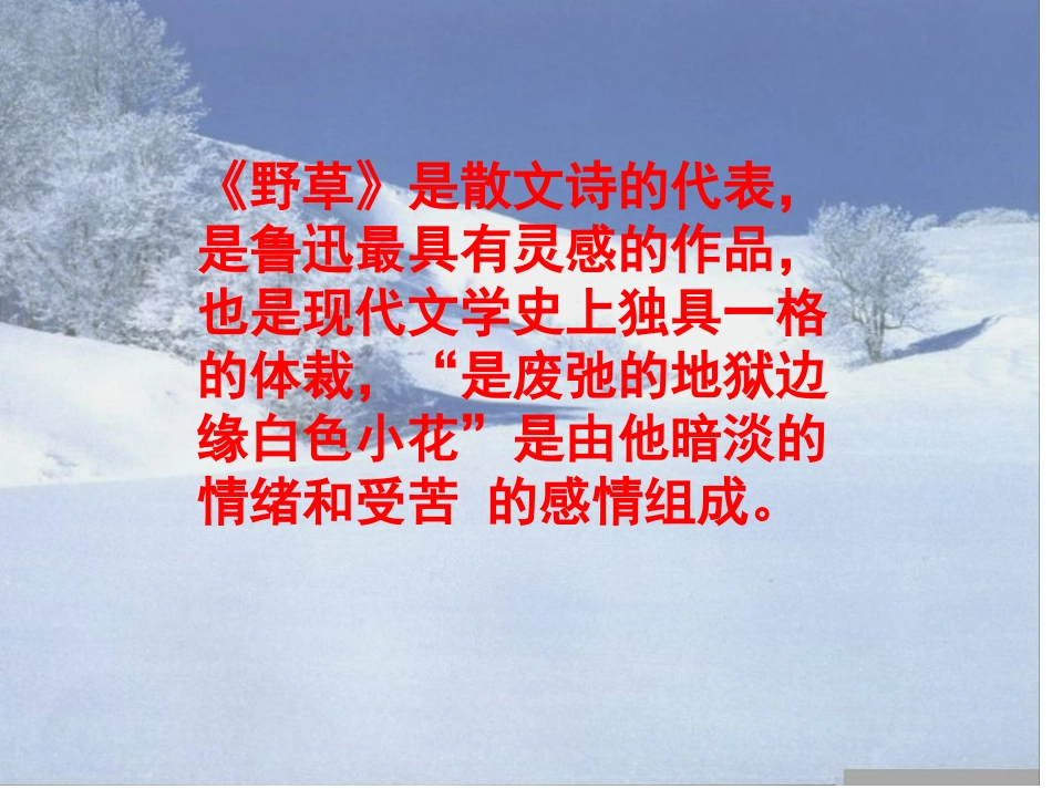 人教版八下第二单元鲁迅《雪》课件_第3页