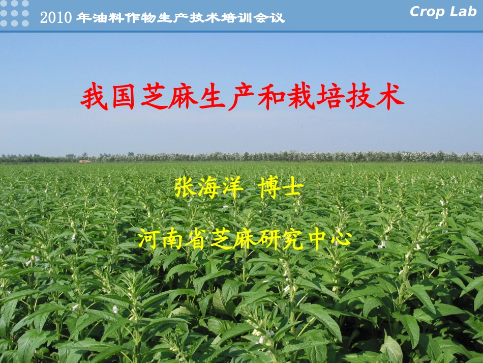 我国芝麻生产和栽培技术-河南芝麻研究中心张海洋_第1页