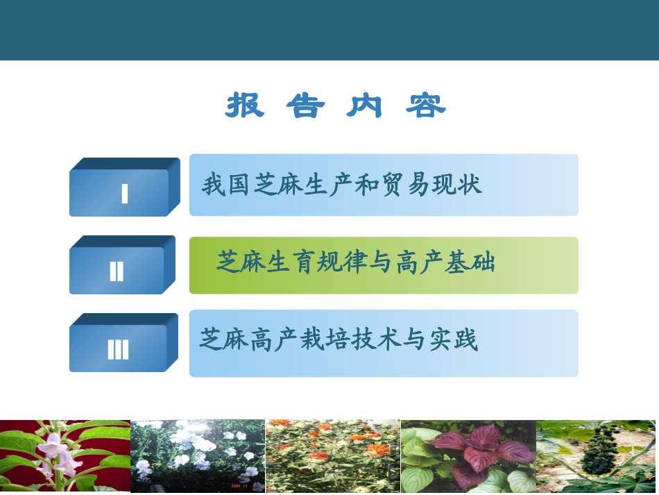 我国芝麻生产和栽培技术-河南芝麻研究中心张海洋_第2页