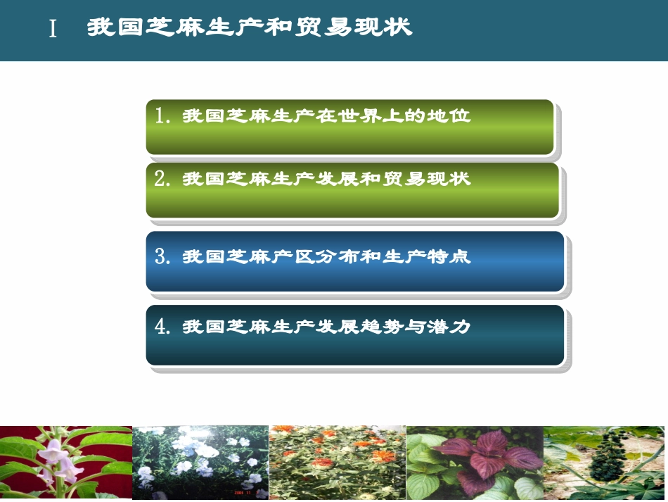 我国芝麻生产和栽培技术-河南芝麻研究中心张海洋_第3页