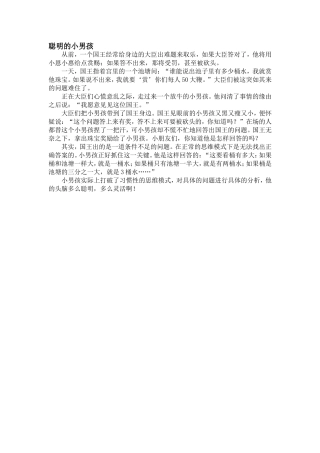 聪明的小男孩
