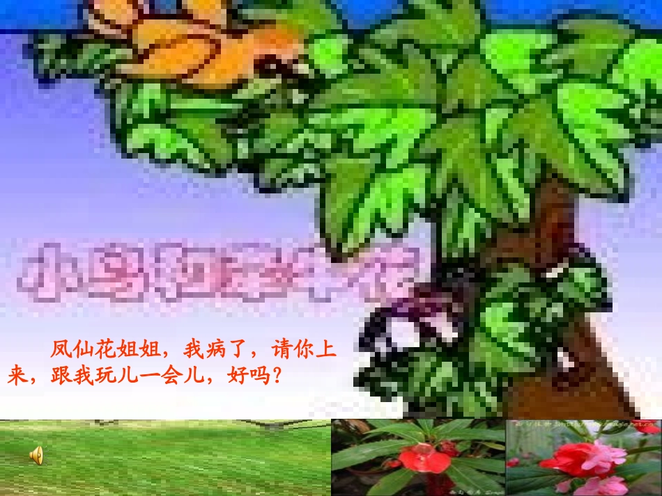 小鸟和牵牛花 (2)_第3页