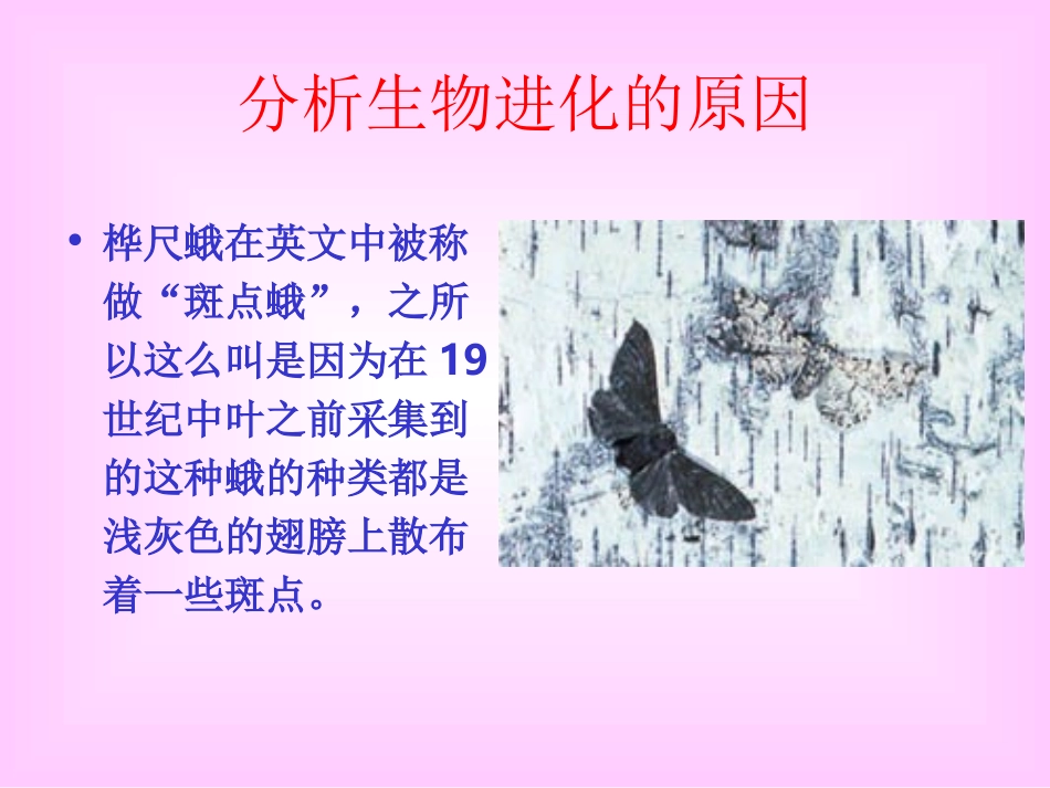 生物进化原因_第3页