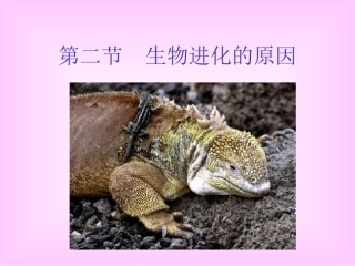 生物进化原因