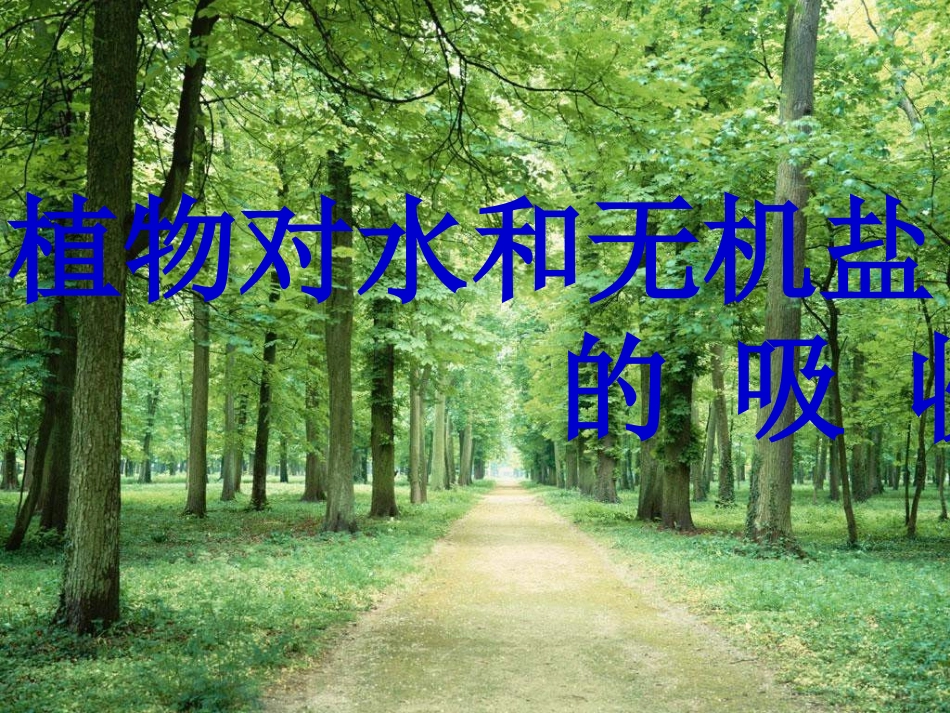 绿色植物生长需要水和无机盐第二课时_第2页