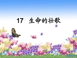 生命的壮歌课件