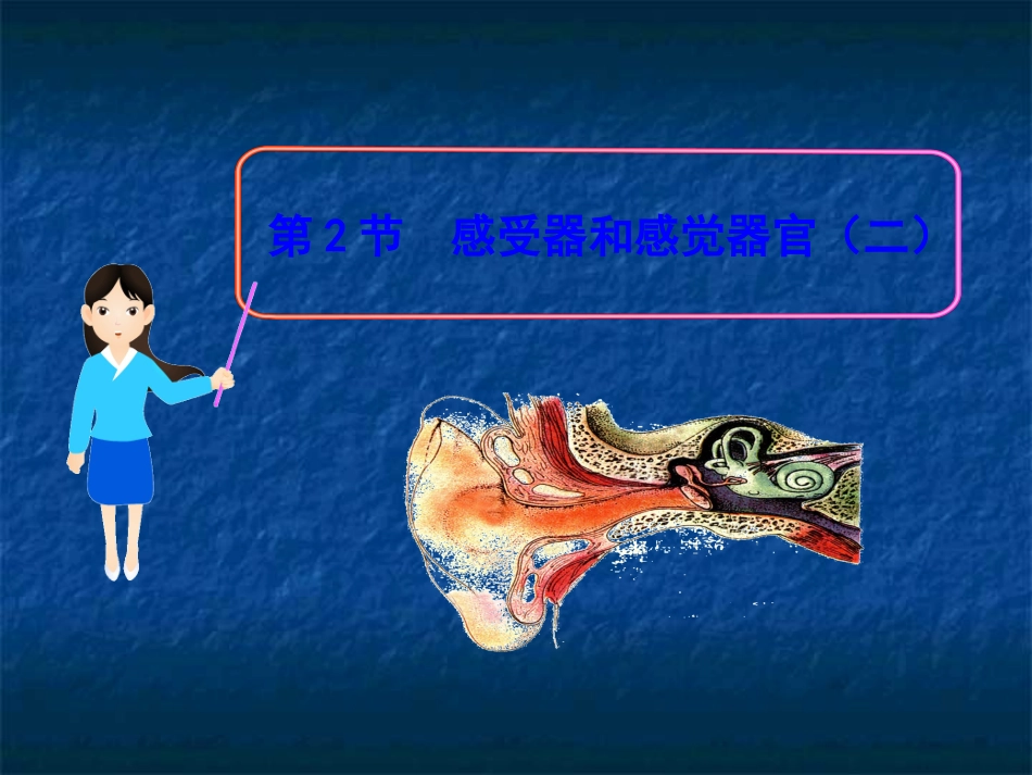第12章第2节《感受器和感觉器官》(第2课时)课件_第1页