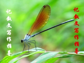 记叙文写作指导