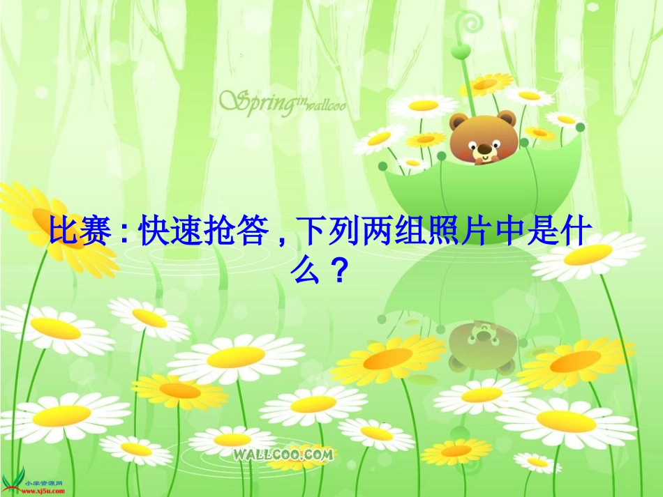 人教新课标数学五年级上册《观察物体_6》PPT课件1_第3页