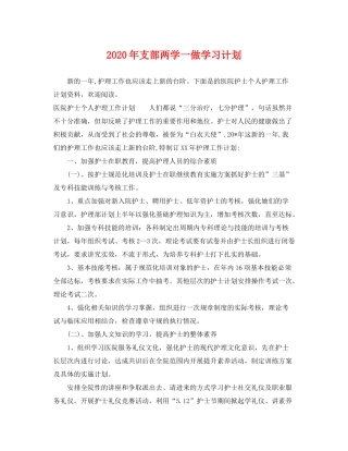 2020年支部两学一做学习计划