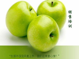 业务员培训PPT模板