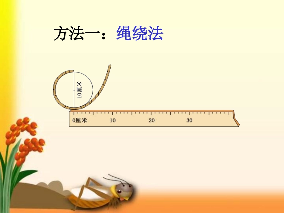 圆的周长教学版_第3页
