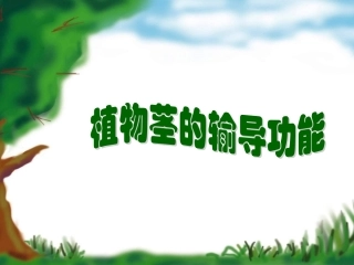 苏教版七上第五章第四节植物茎的输导功能（共18张PPT）