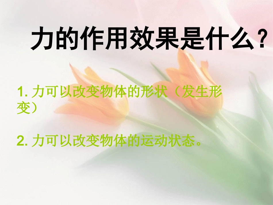 弹力_力的测量_第2页