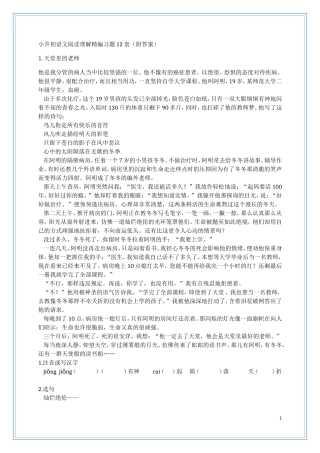 小学毕业班语文阅读理解精编习题